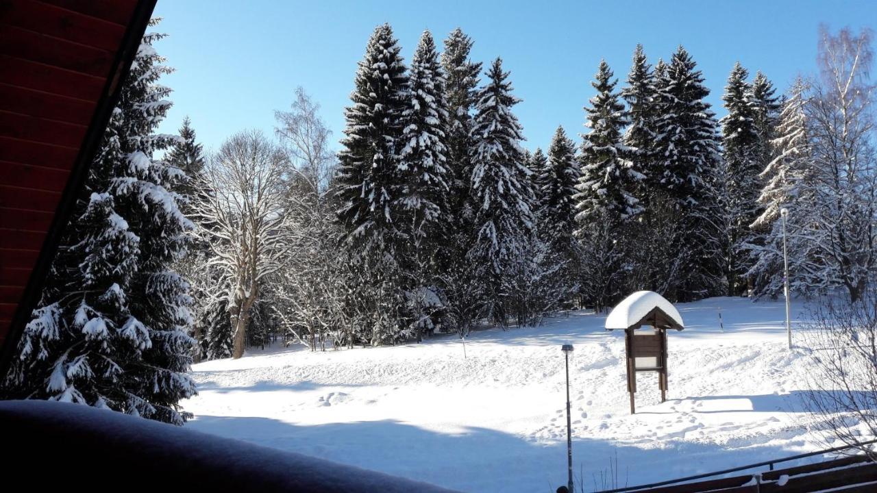 Apartman Bile Labe Spindleruv Mlyn Bagian luar foto